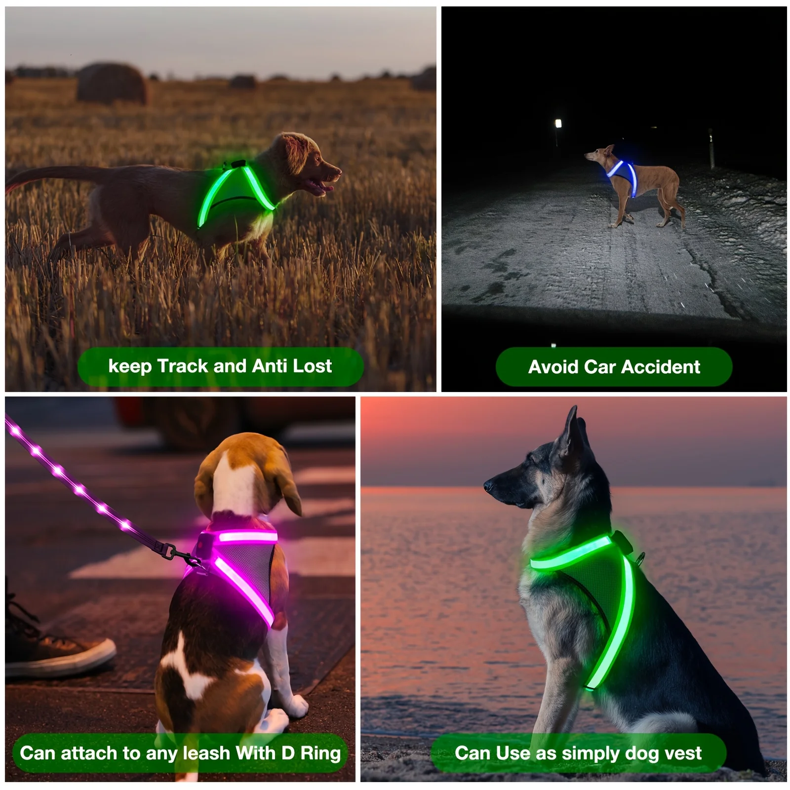 Introducing A New Illuminated Dog Harness That Prevents Pulling, Featuring LED Lights for Nighttime Walks. This USB Rechargeable
