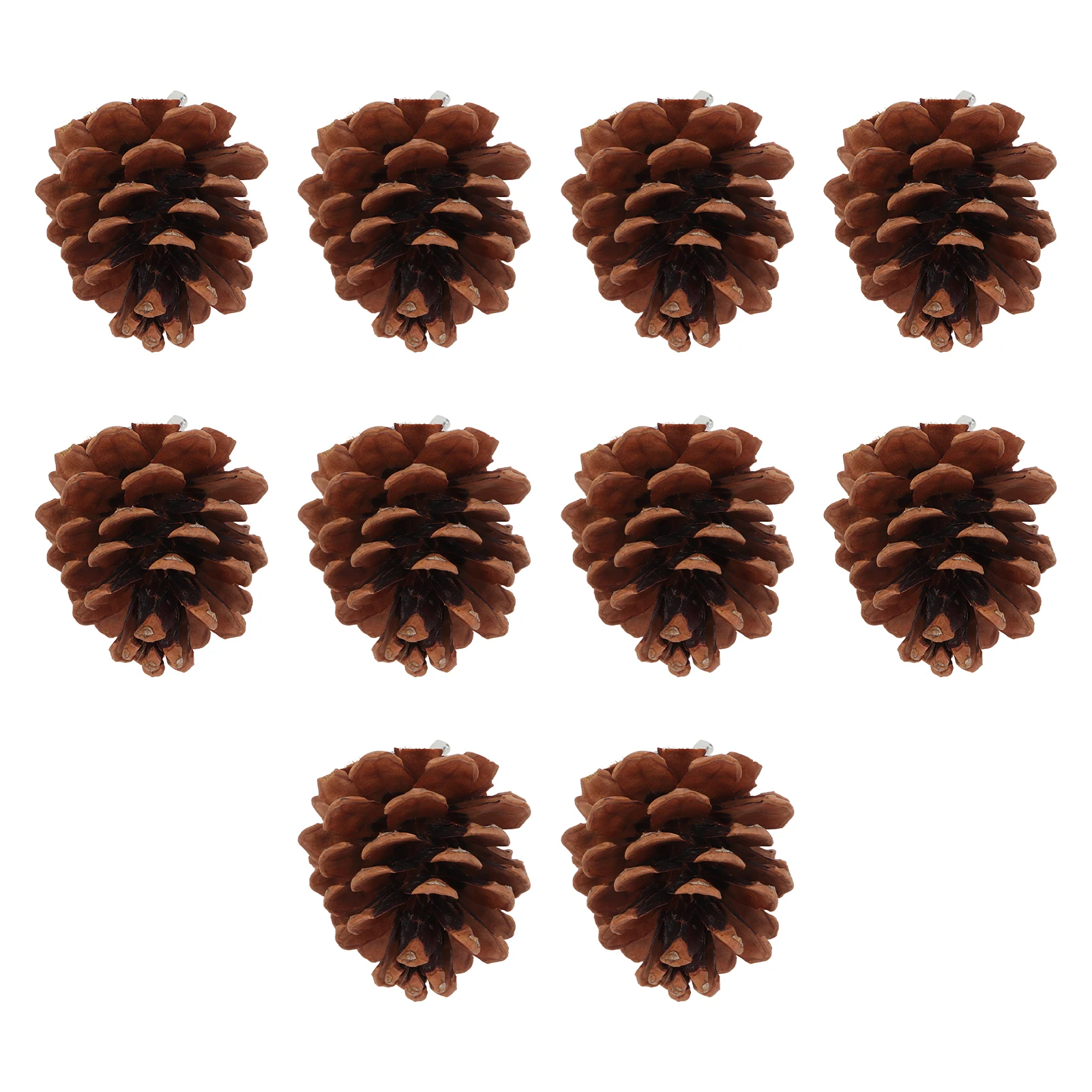 

10pcs Natural Pine Cone Chewing Bird Toy for Parakeet Cockatiel Conure Finch Budgie Macaw, Diameter Approx. 6cm / 2.4in, with