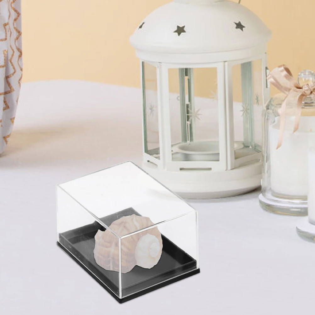 

Transparent Box Specimen Jewelry Display Case Holder for Gems Coins Boxes Gemstone