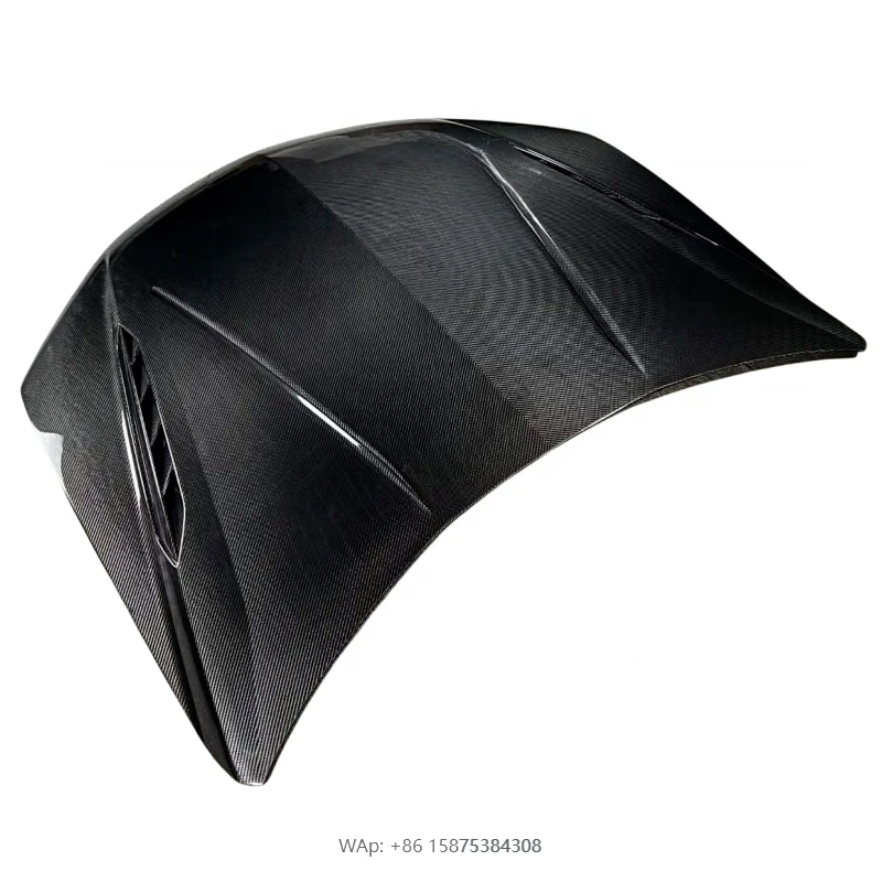 

Upgrade P Style Dry Carbon Fiber Hood for Old URUS