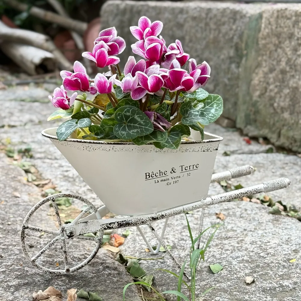 Eisenkunst-Schubkarre für Garten und Hof: Dekorative Blumentopf- und Terrassenbecken für Homestay und Garten, Garten-Geschenk und Heimdekoration