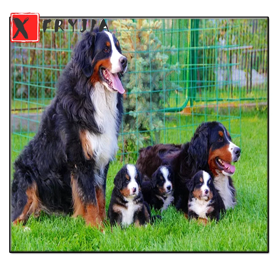 Full circular Diamond mosaic sale Bernese Mountain Diamond Painting Puppy diamant dogs 5d Wall Sticker Diamond Embroidery decor