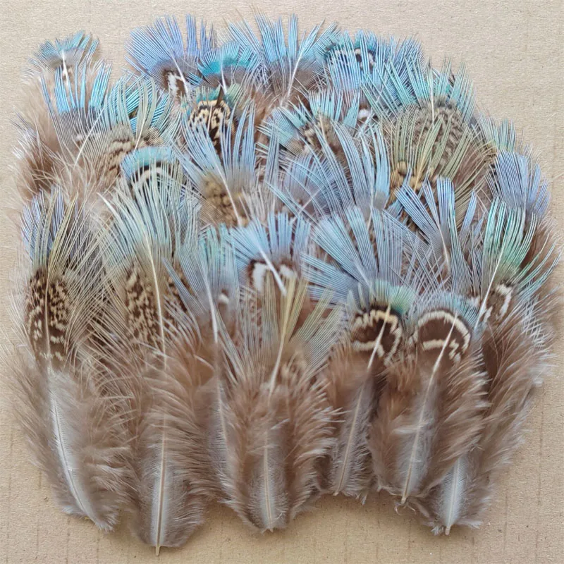 200 piezas de almendras verdes mixtas con cuello de anillo, plumaje de faisán, plumas al por mayor, artesanía a granel, 5-8cm de largo,