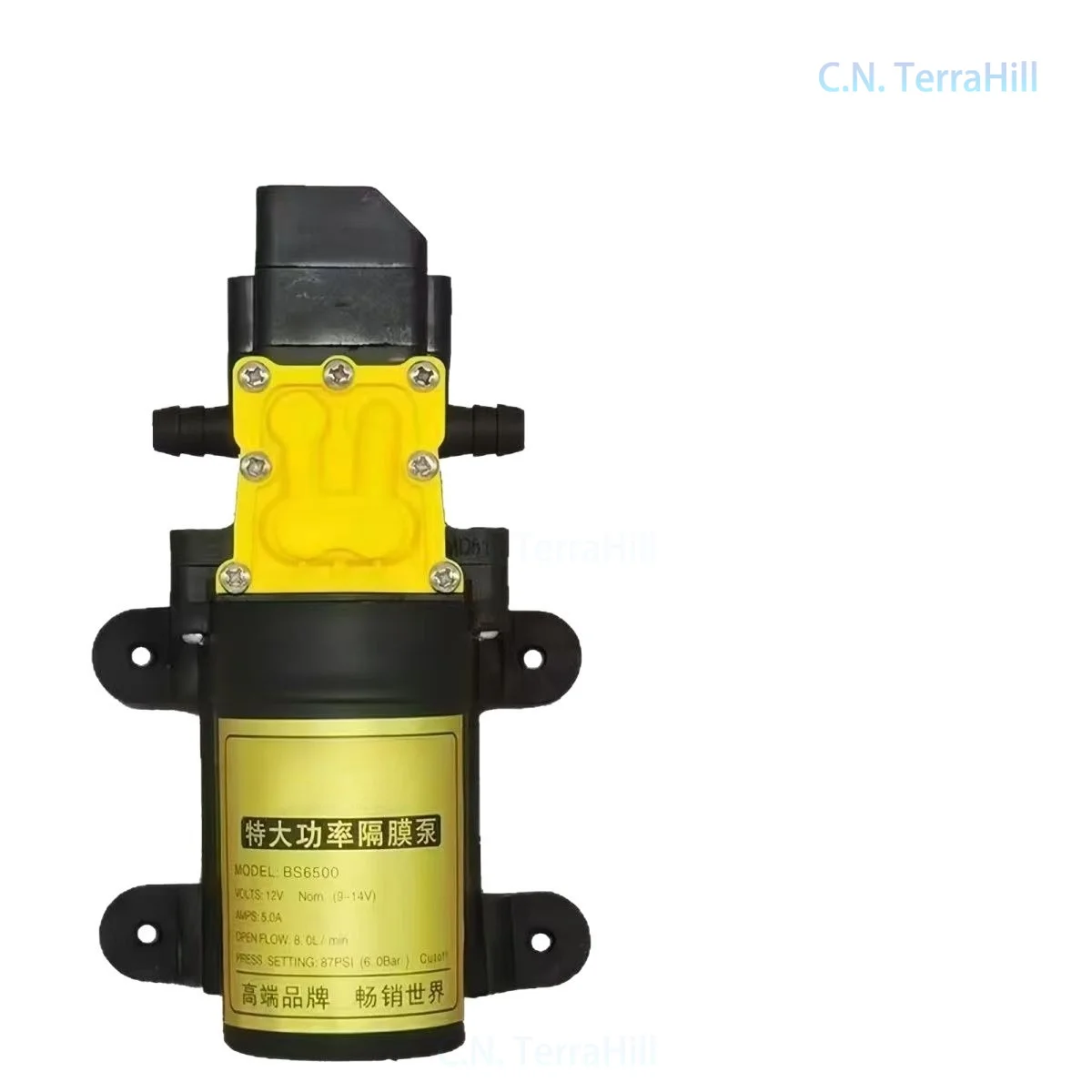 Mini Electric Diaphragm Pump 12V High Flow Sprayer Car Wash Pump for Agricultural Irrigation