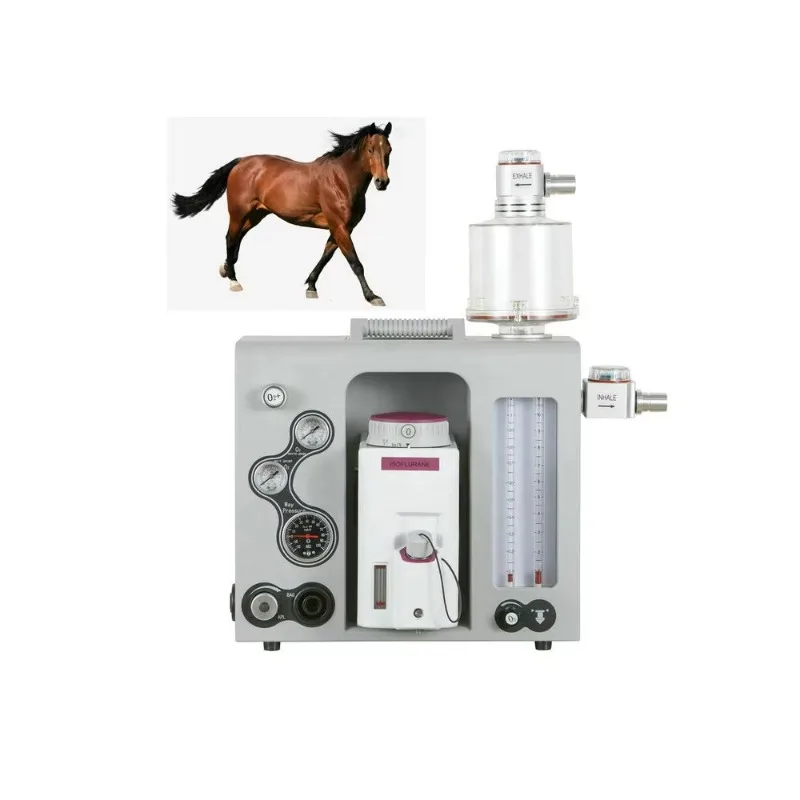 

Veterinary Portable Anesthesia Machine for Horse Equine Small Animal Pet Clinics