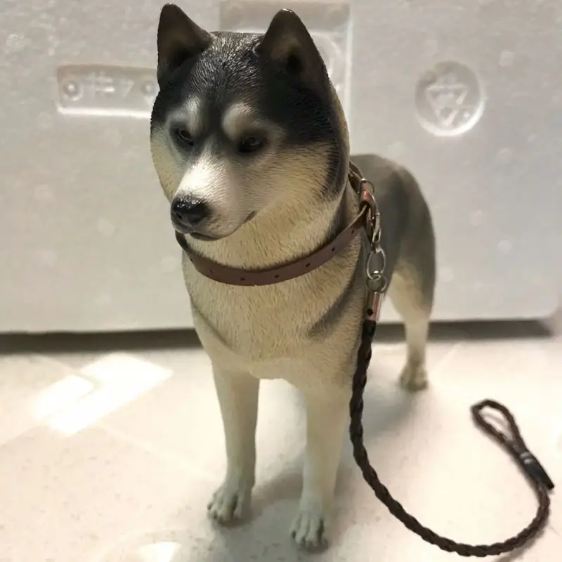 

Mr.Z 1/6 Scale Figure Scene Accessories Simulation Siberian Husky 2.0 Pet Dog Huskie Figure Animal Model for 12 inches Action