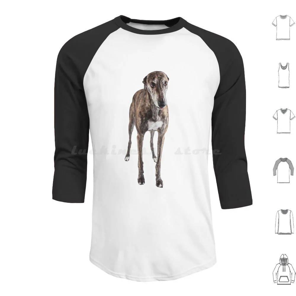 Cute Brindle Greyhound Hoodie Cotton Long Sleeve Greyhounds Cute Dog Sighthound Love Greyhounds Mlep Blep Dogs Animals