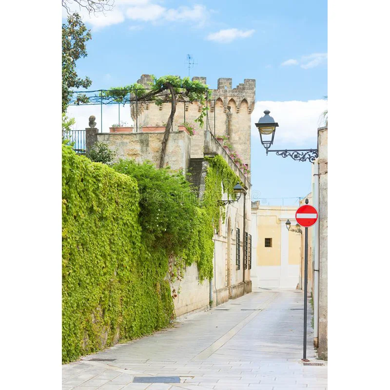 NITREE estilo europeo Retro calle paisaje costero fotos de boda recién nacido y fotografía de mascotas accesorios de fondo JDH-11