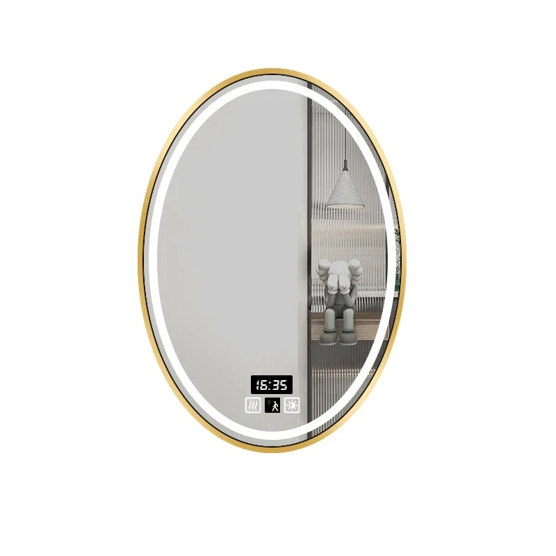 20x28inch Oval LED Bathroom Mirror Black Aluminum Frame Backlit HD Touch Control Vanity Mirror for Home Hotel IP44