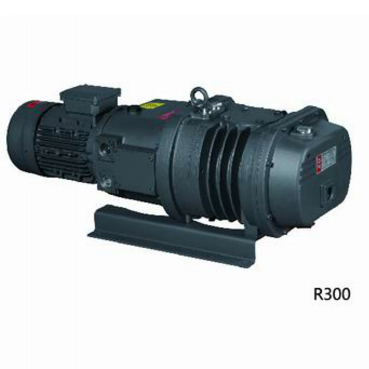 R-Series R300 Roots Vacuum Pump