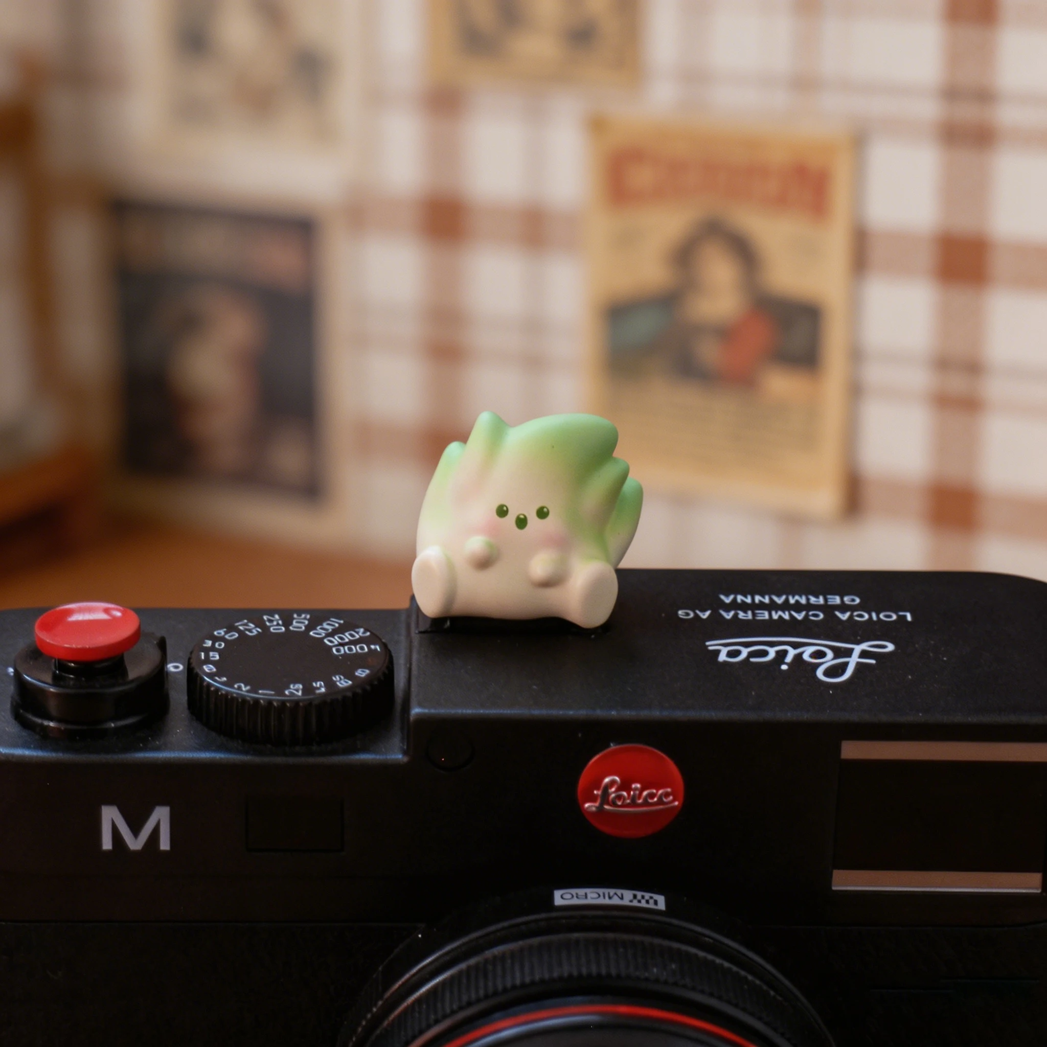 Funny Green Cabbage Hot Shoe Cover Cute Cartoon Camera Hotshoe Cap Decor for Canon Nikon Sony
