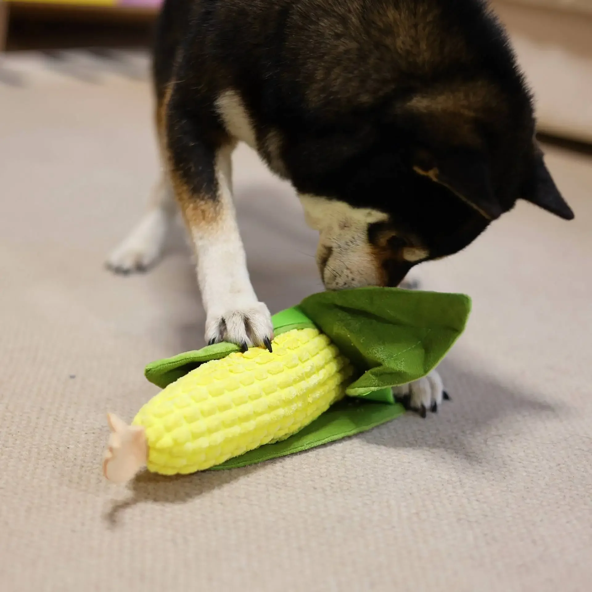 

Cross-border new PawfooLab simulated corn pet dog bite to relieve boredom Tibetan food plush toys wholesale
