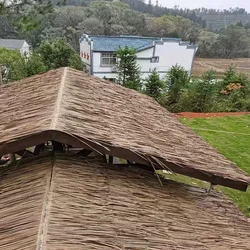 Length 3x10M Mexican Straw Roof Artifical Plastic Retardant Thatch Simulated Fake Grass Garden Patio Covers Fake Plant Tiki Roof