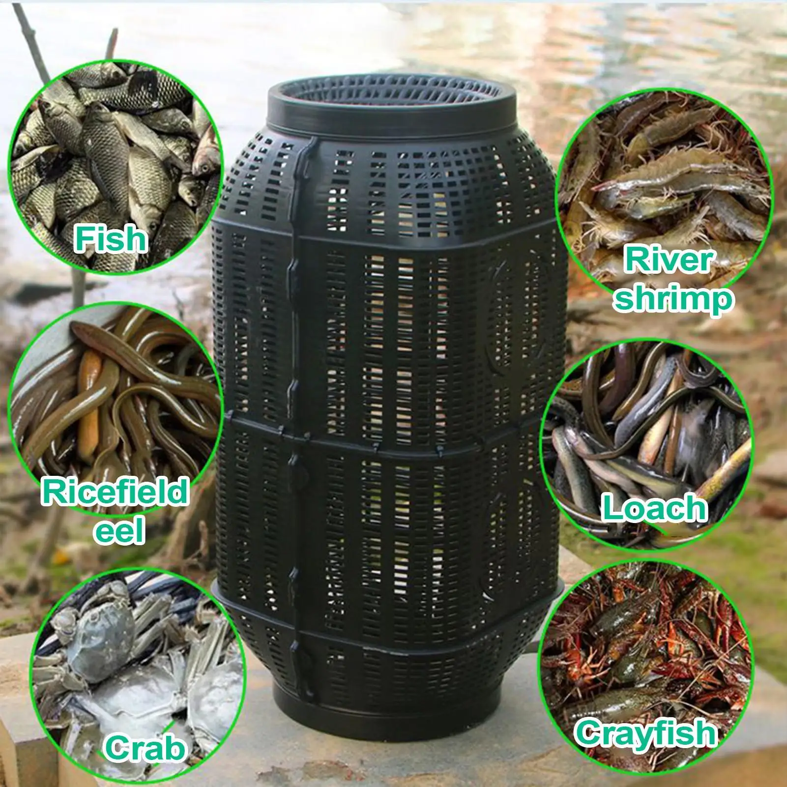 #83 Compare Fishing Traps Before You Buy