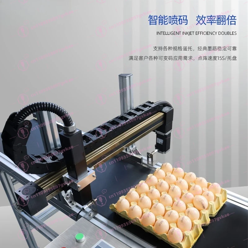Continuous Small Character Egg Duck Egg Inkjet Printer High Adhesion Egg High Definition Coding Machine Laser Marking