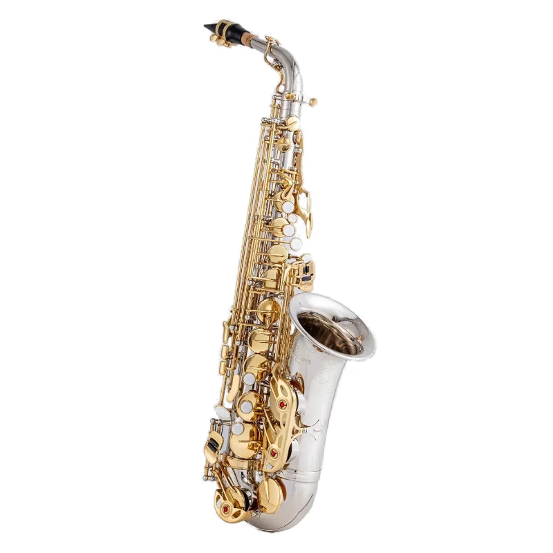 

New Nuovissimo Bocchino Sax Professionale Con Chiave in Oro Nichelato Per Sassofono Contralto A-WO37 Con Custodia E Accessori