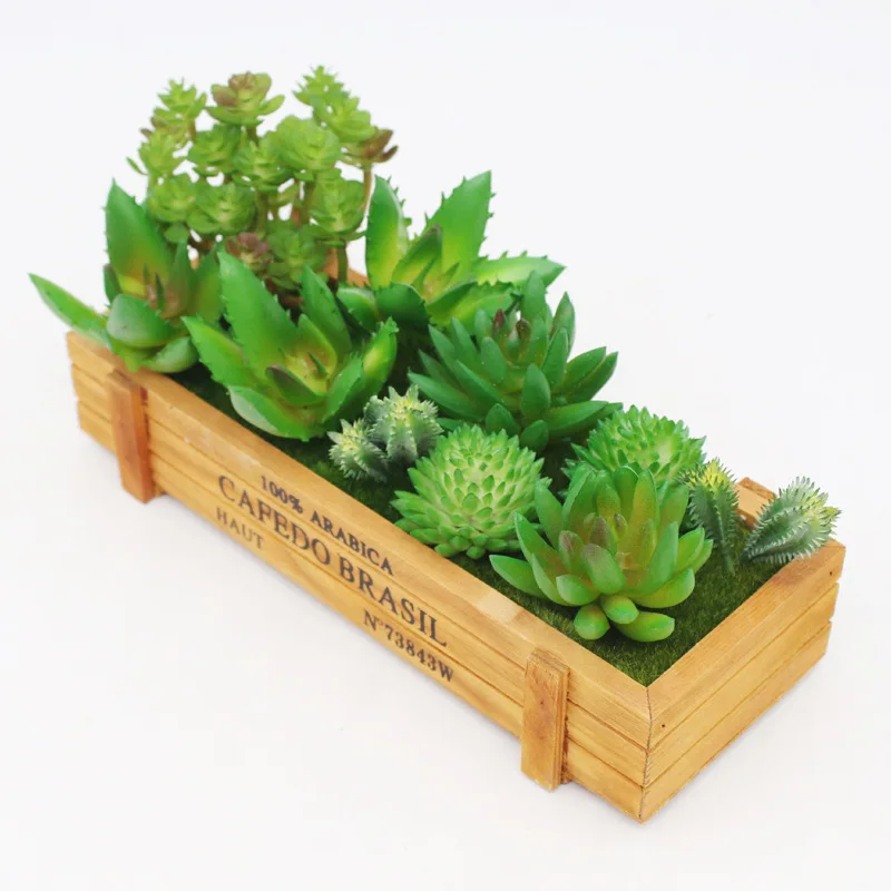 39 ألوان النباتات العصارة الاصطناعية البلاستيك الزهور DIY بها بنفسك لوازم اكسسوارات المنزل حديقة غرفة المعيشة الديكور #2