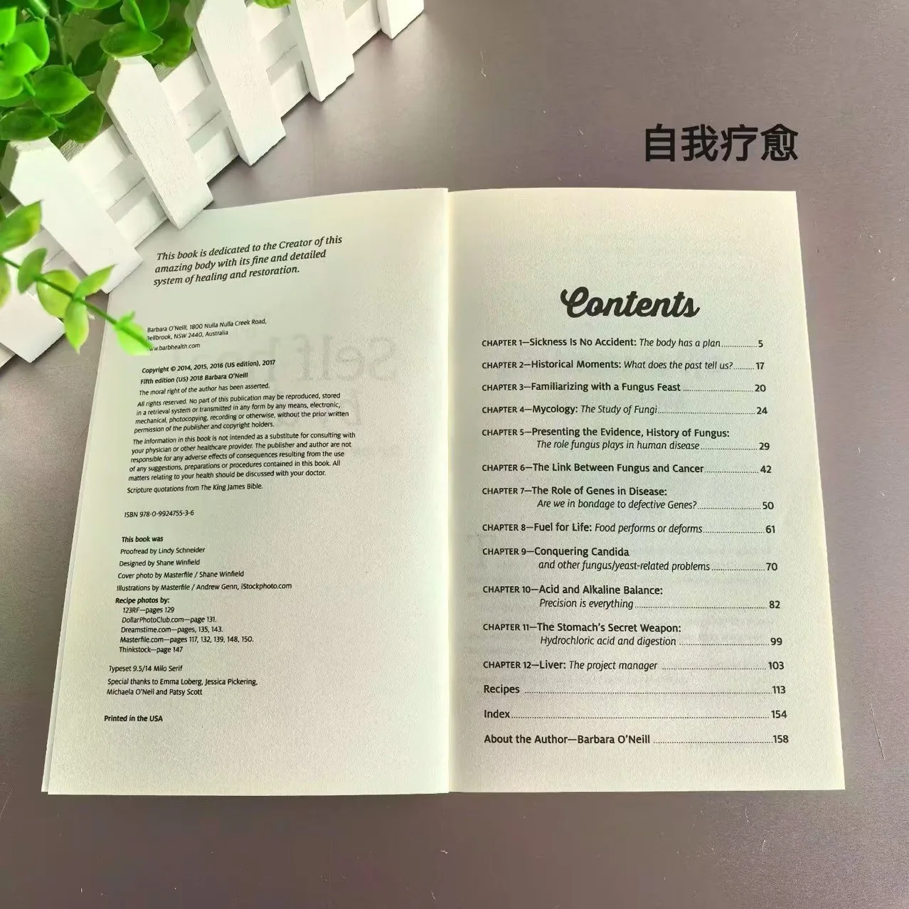 英語名：Self Heal B 英語書籍 書籍 libro libros la biblia de las brujas libro en espanol книга book libros libro