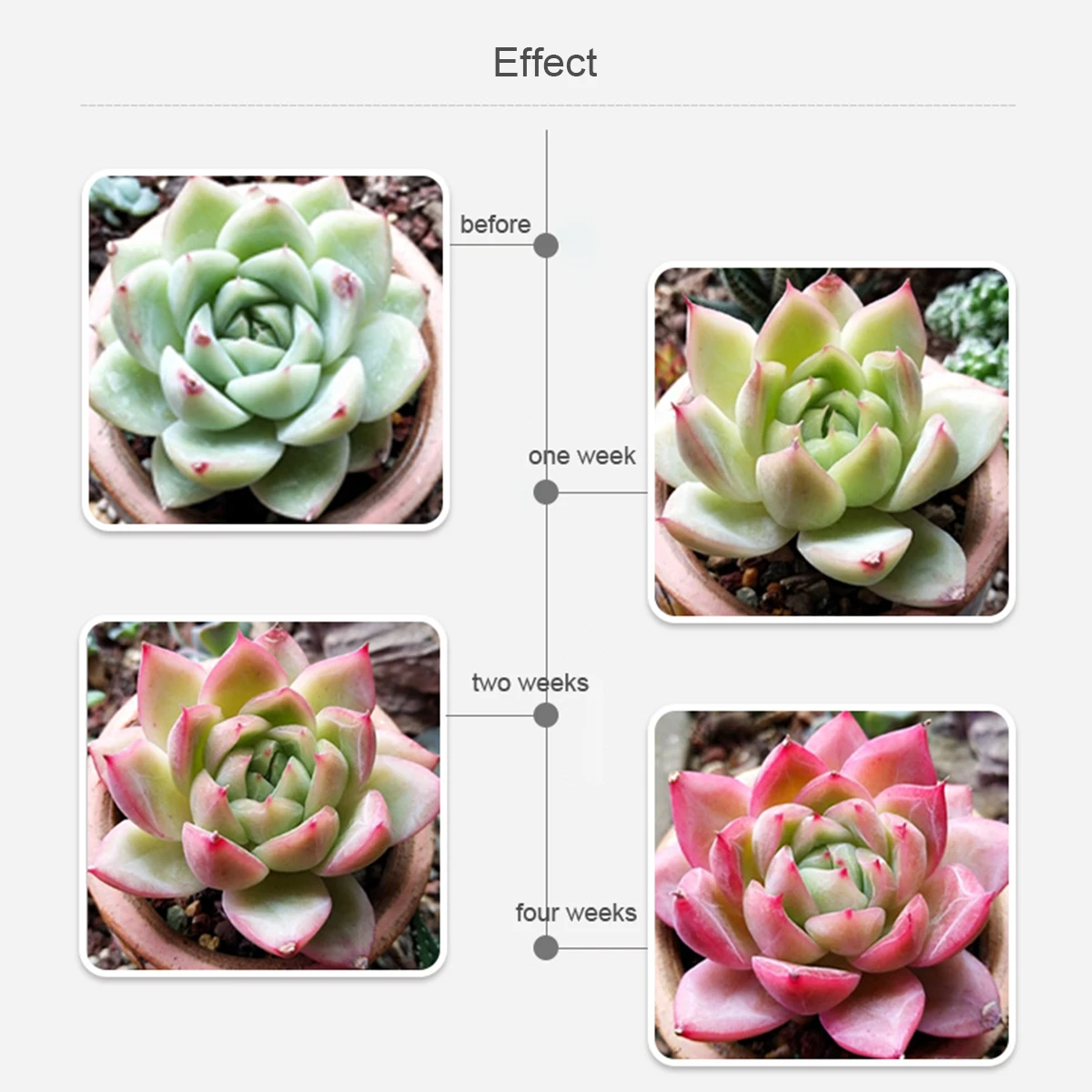 AC220V 110 فولت LED تنمو ضوء LED ضوء النبات بار الطيف الكامل فيتو أنبوب مصباح T5 29 سنتيمتر لنظام الزراعة المائية للزهور الداخلية-Q