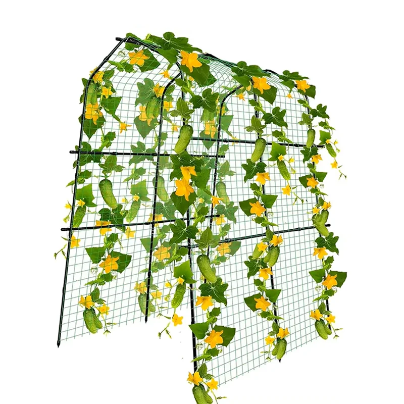 

Courtyard Climbing Vine Garden Arch Trellis Metal Plant Rack Grow Support Frame