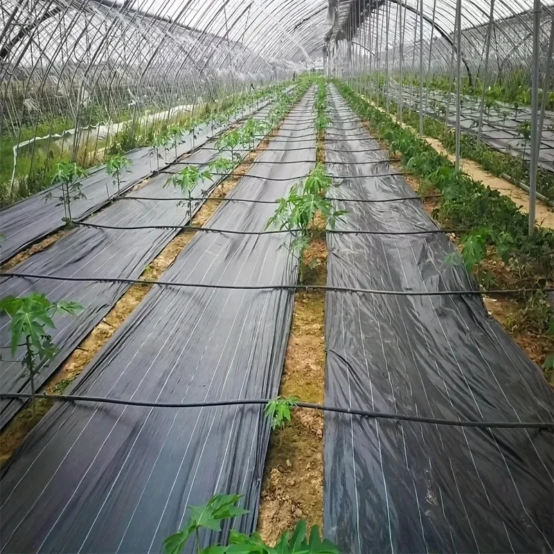 Made of Black PP Material, Heavy-duty Grass Blocking Ground Cover, Suitable for Garden and Lawn Care, UV Resistant