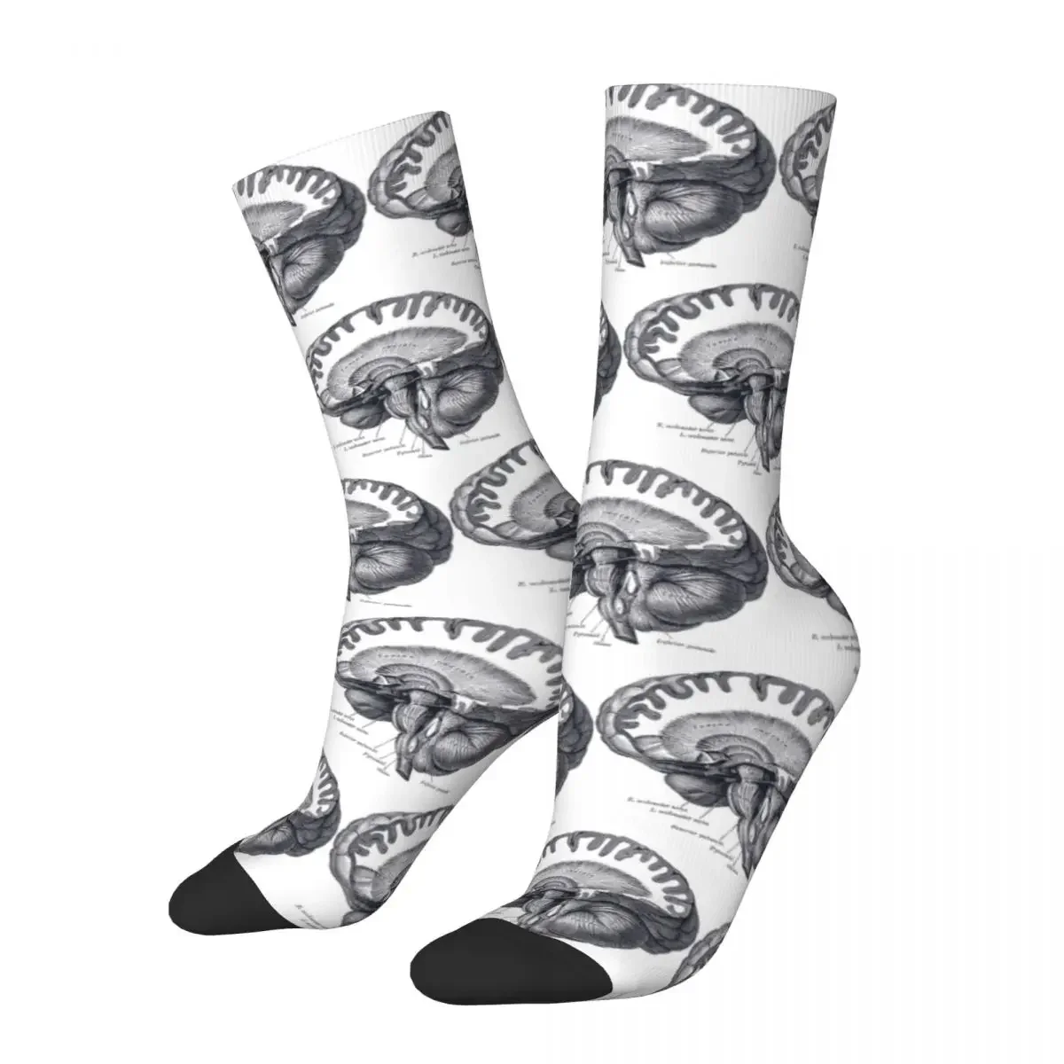 Gehirn Anatomie Socken Harajuku super weiche Strümpfe ganzjährig lange Socken Zubehör für Unisex Geburtstags geschenk