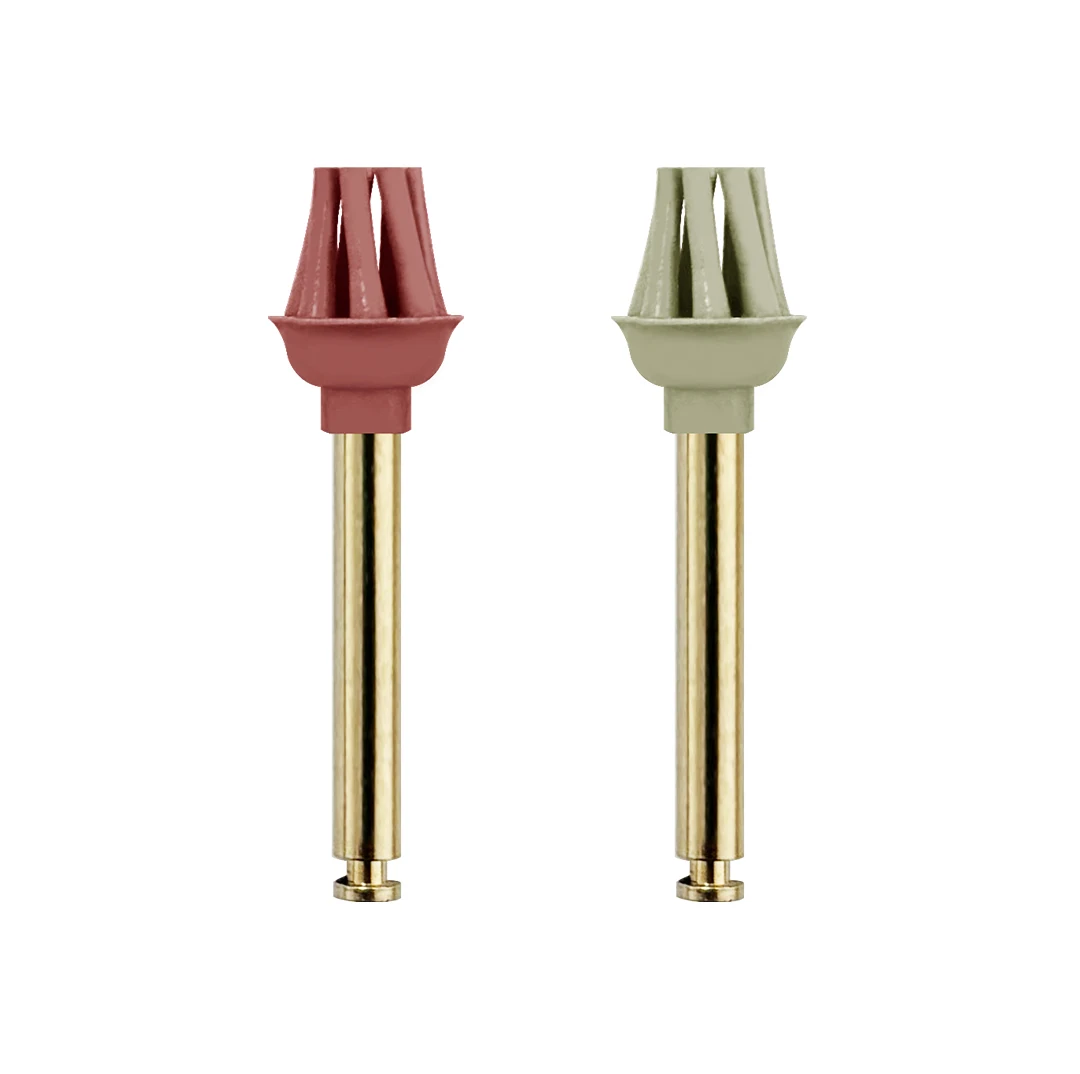 2 /10pcs Octopus-Shaped Dental PolisherP2 3.0 2-Step High-Shine Diamond Polishing  for Occlusal Surface Composite Restoration