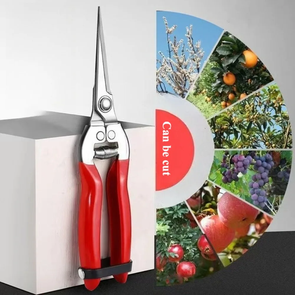 

Gardening Fruit Hand Micro-Tip Pruning Snips Leaf Trimmer Straight Florist Scissor for Plants Garden Scissors Pruning Shears