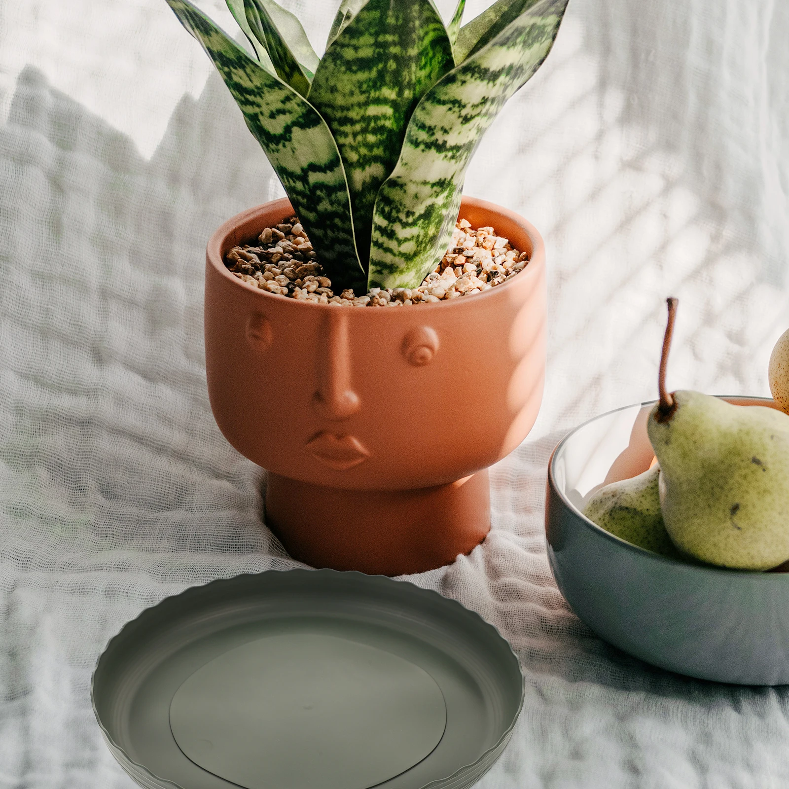 

3pcs Drip Trays for Potted Plants Planters Outdoor Pots Container Saucers Flower Plastic Tray Sturdy Durable Anti Slip Bottom