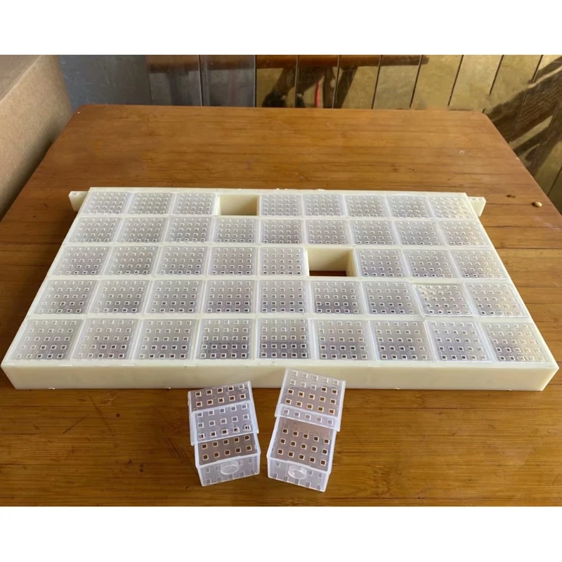 Multifunctional Plastic Queen Bee Storage Device Bee Cage Box for Queen Rearing Essential Tool Beekeeper Good Helper