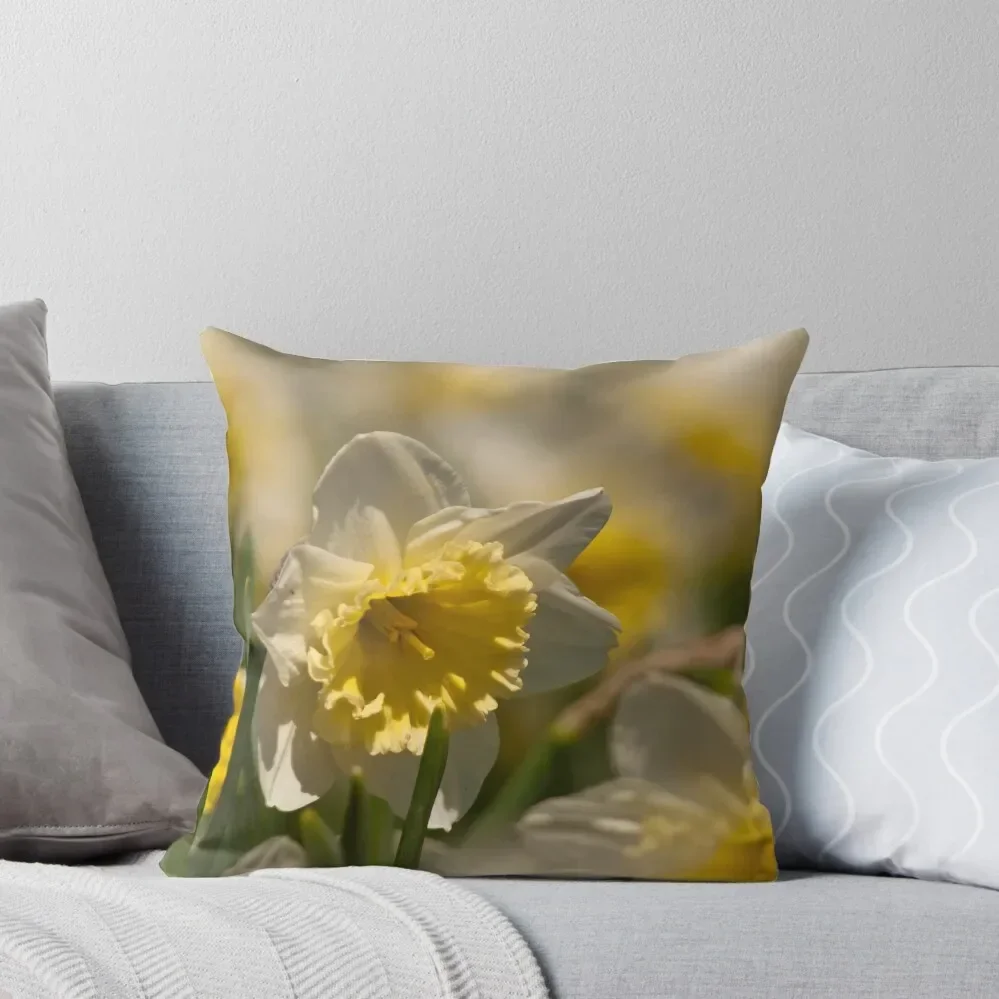 Daffodil Dreaming Throw Pillow Decorative Cushion Cover Cushion Cover Luxury Decorative Cushions pillow