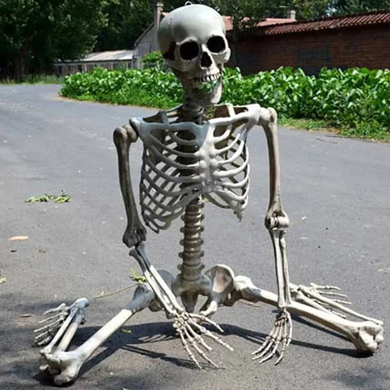 1pc Skeleton Wohnkultur Halloween Decor Aktive Gefälschte Menschlichen Beweglichen Kopf Beine Hände Zahn Knochen Hängen Requisiten Halloween Dekoration