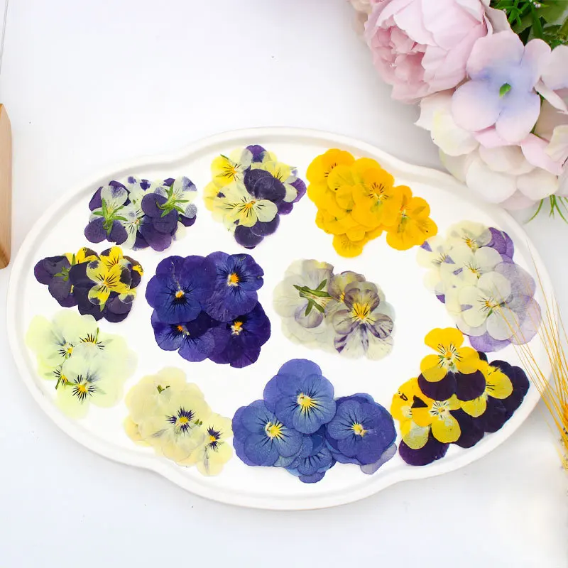 120 pcs Pressed Dried Pansy Flower Filler For Epoxy Resin Pendant Necklace Jewelry Making Craft DIY Accessories