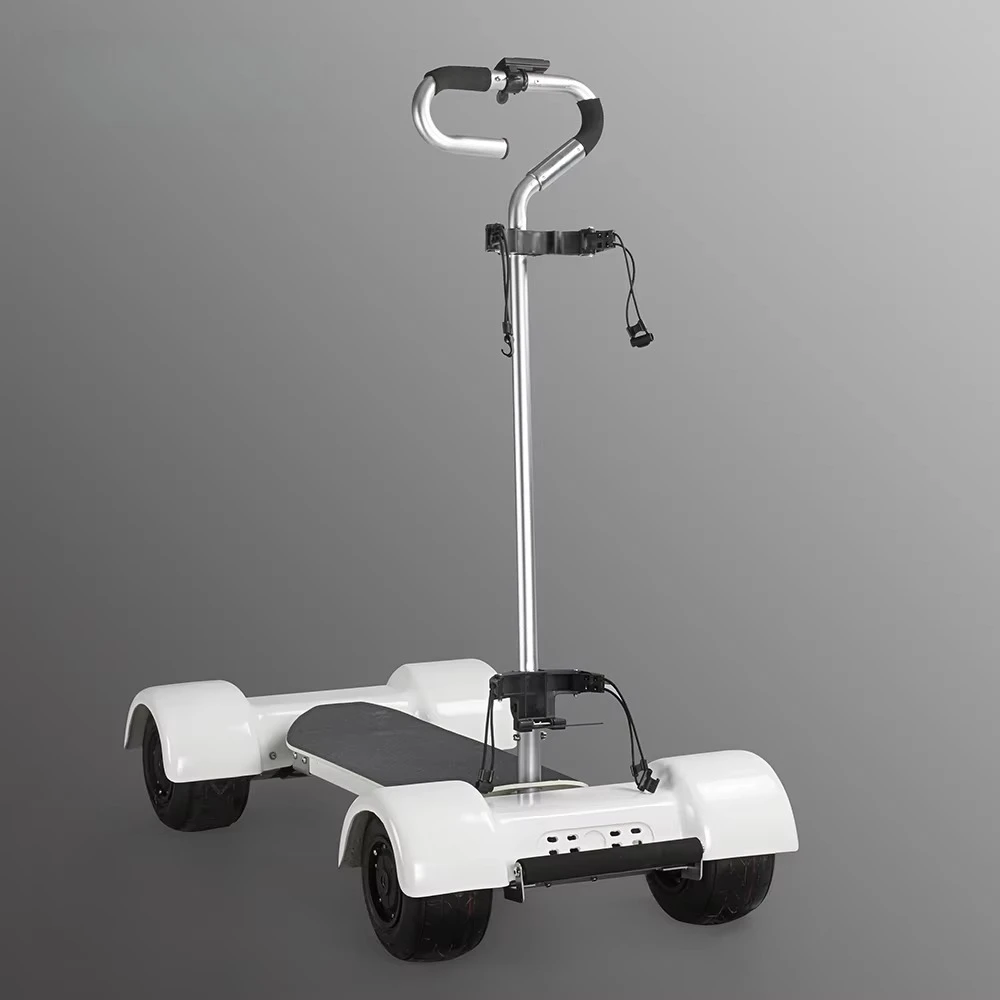 

Wholesale 1000w 60v Electric Scooter Golf Cart 60km Golf Electric Skateboard