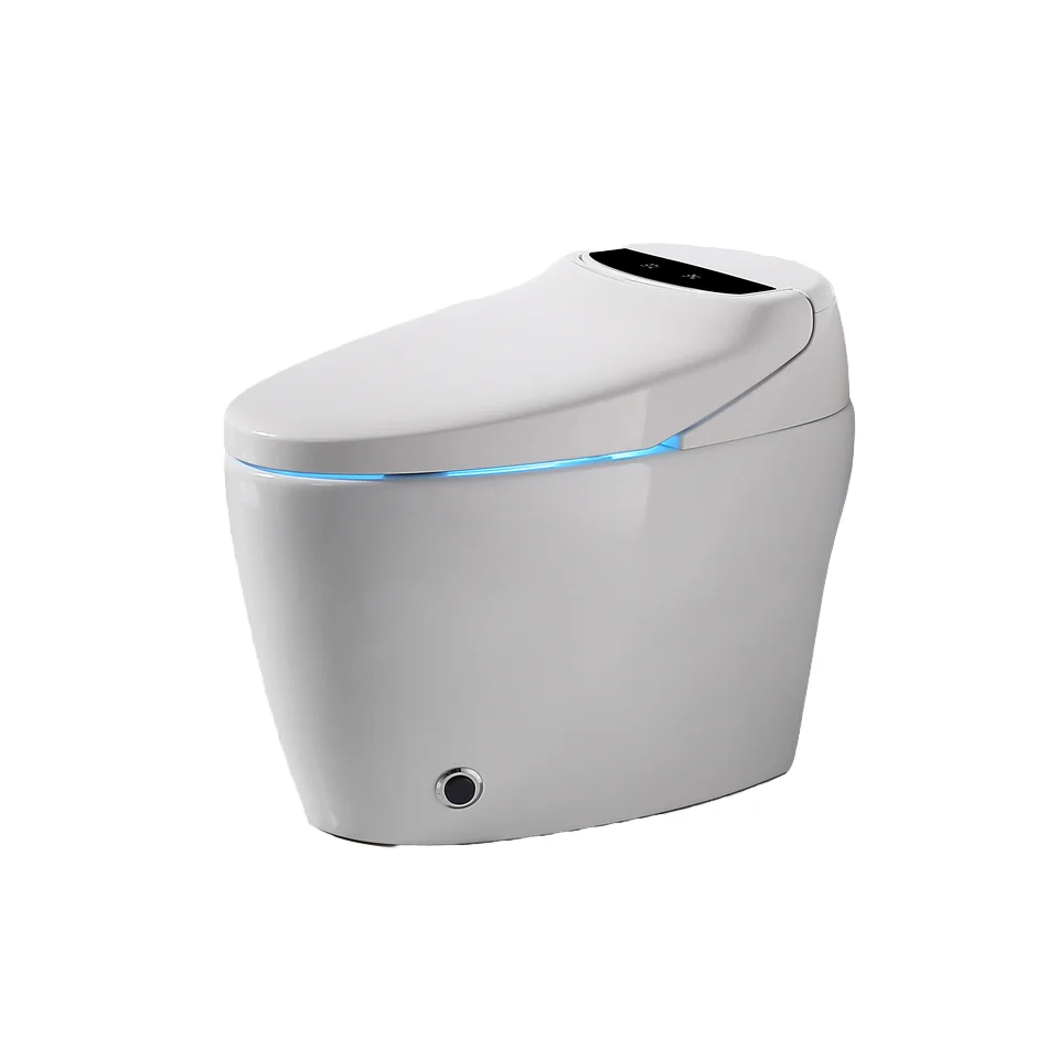 Professional Sanitary Ware Supplier's Smart Toilet Instant Heat Intelligent Bidet with Automatic Flushing WC Bathroom Accessory