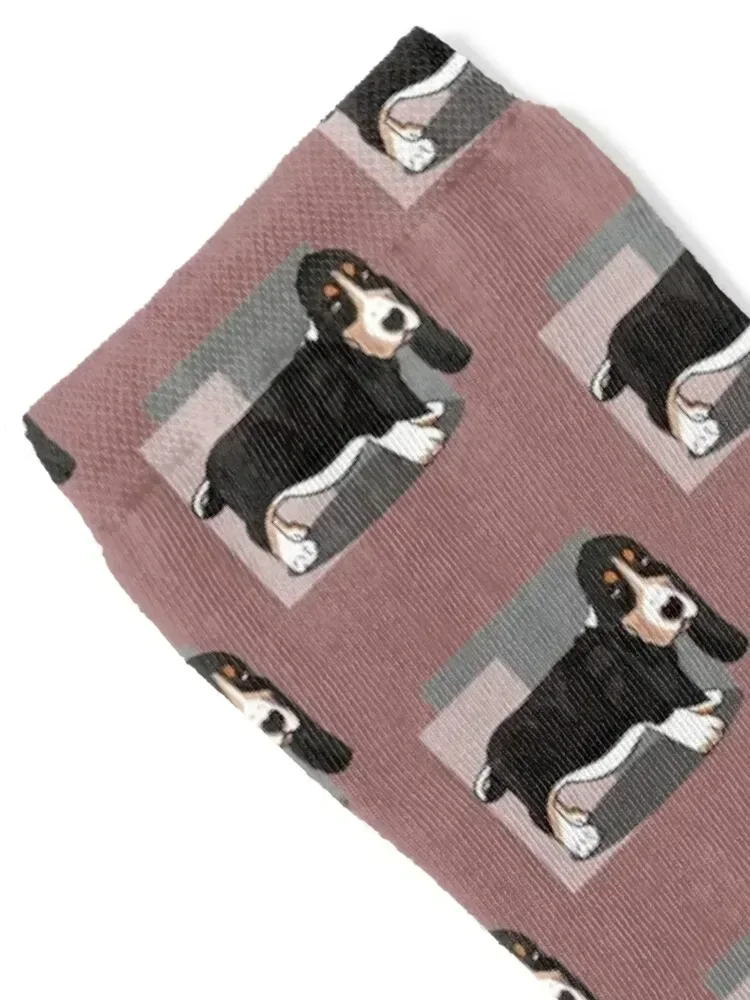 Basset Hound Socks christmas gifts colored luxury winter Girl'S Socks Men's