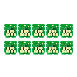 C13S210057 F500 F570 F571 F551 F540 Chip scatola di manutenzione per Epson T2100 T3100 T5100 T3170 T5170 T2150 T3150 T5150 2140 T3140