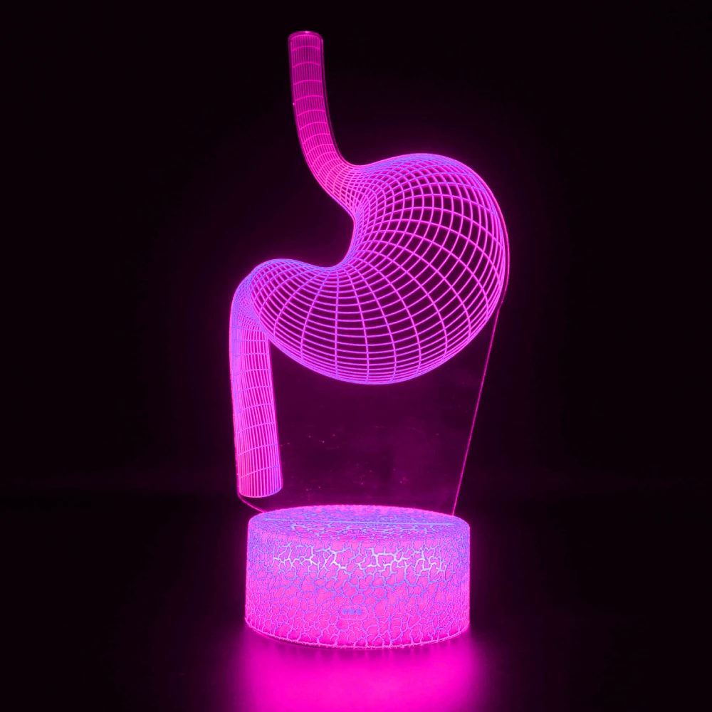 Nighdn Acrylic  Night Light 3D LED Stomach Shape Nightlight for Kids Baby Sleep Lights Gifts for Home Room Decor Table Lamps