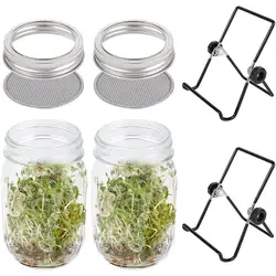 Seed Sprouting Jar Kit Mason Jars With Stainless Steel Stand Sprouter Germination Cover