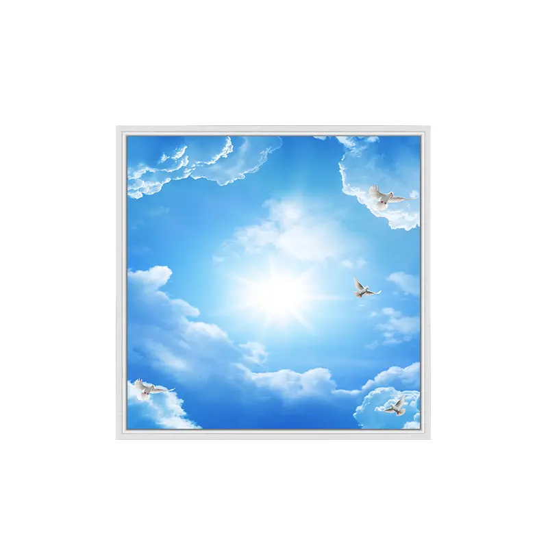 

Embedded Blue Sky Cloud Ceiling Light Office Meeting Room Basement Home Decor Clear Sky Window Panel Lamp LED Flat Light