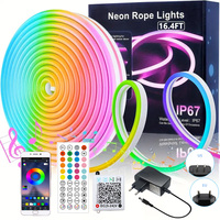 3535 RGB Neon LED Strip Lights 24V 5m 10m 20m 30m Neon Rope Light with Music Sync IP67 Waterproof Light Strip for Home Decor