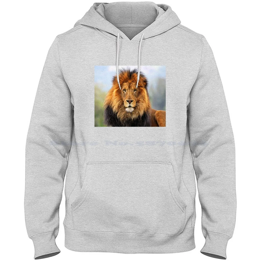 Animal Lion 100% Cotton Hoodie Animal Lion Classic Graphic Pattern Abstract London Paris Best Selling Trending Limited