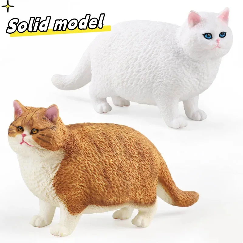 Simualtion Pet Animals Cute Short Haired Fat Cat Action Figures British Shorthair Miniacture Home Decor Children Educational Toy