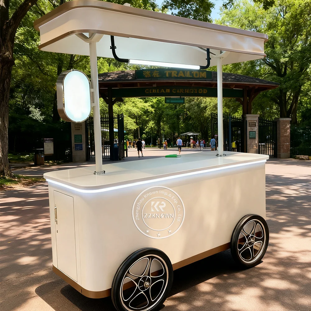 Ice Cream Display Case Gelato Showcase Ice Cream Food Truck Push Cart Street Food Kiosk Mobile Cart Food Cart