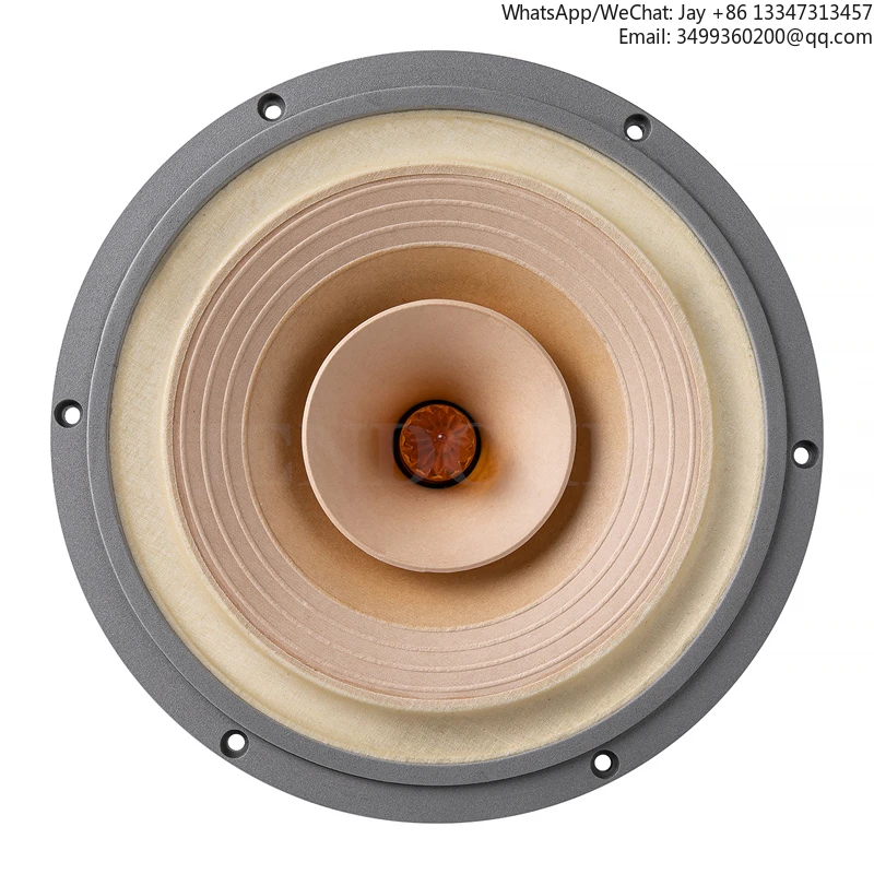 

LS-01 Lii Song Fast-10 10 Inch Full Range Speaker 25W-50W/8Ohm1 Pair