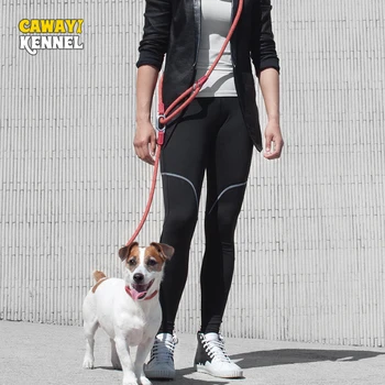 Reflective Nylon Hands-Free Dog Leash 1