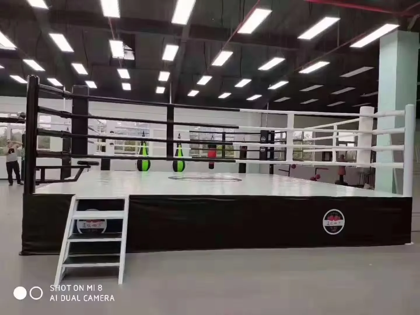 جودة عالية رخيصة شعار مخصص المحمولة الملاكمة الدائري MMA مرتفعة الملاكمة الدائري المصارعة الدائري للبيع