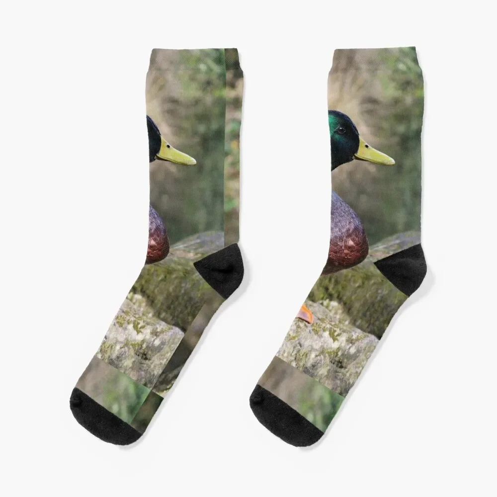 mallard duck Socks happy Sports man Socks Girl Men's