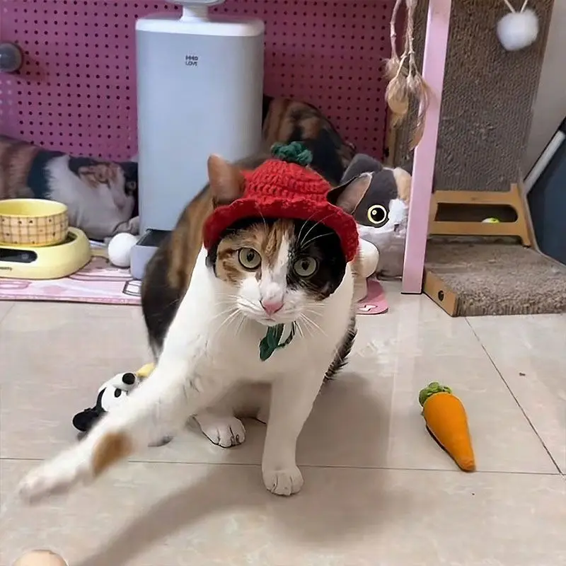 

Милый головной убор в виде кошки Дакаймен, связанная крючком шапочка ручной работы в том же стиле, в форме помидора, с регулируемым ремешком.