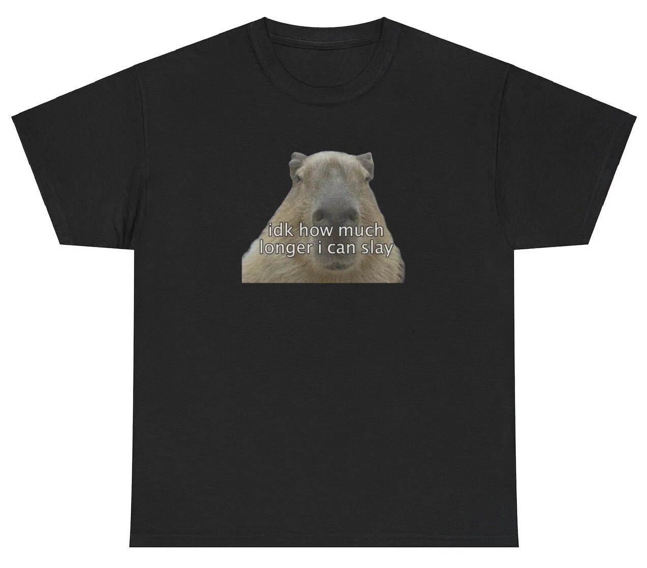 Camiseta Capybara Idk How Much Longer I Can Slay, divertida y loca camiseta para amantes de la generación Z